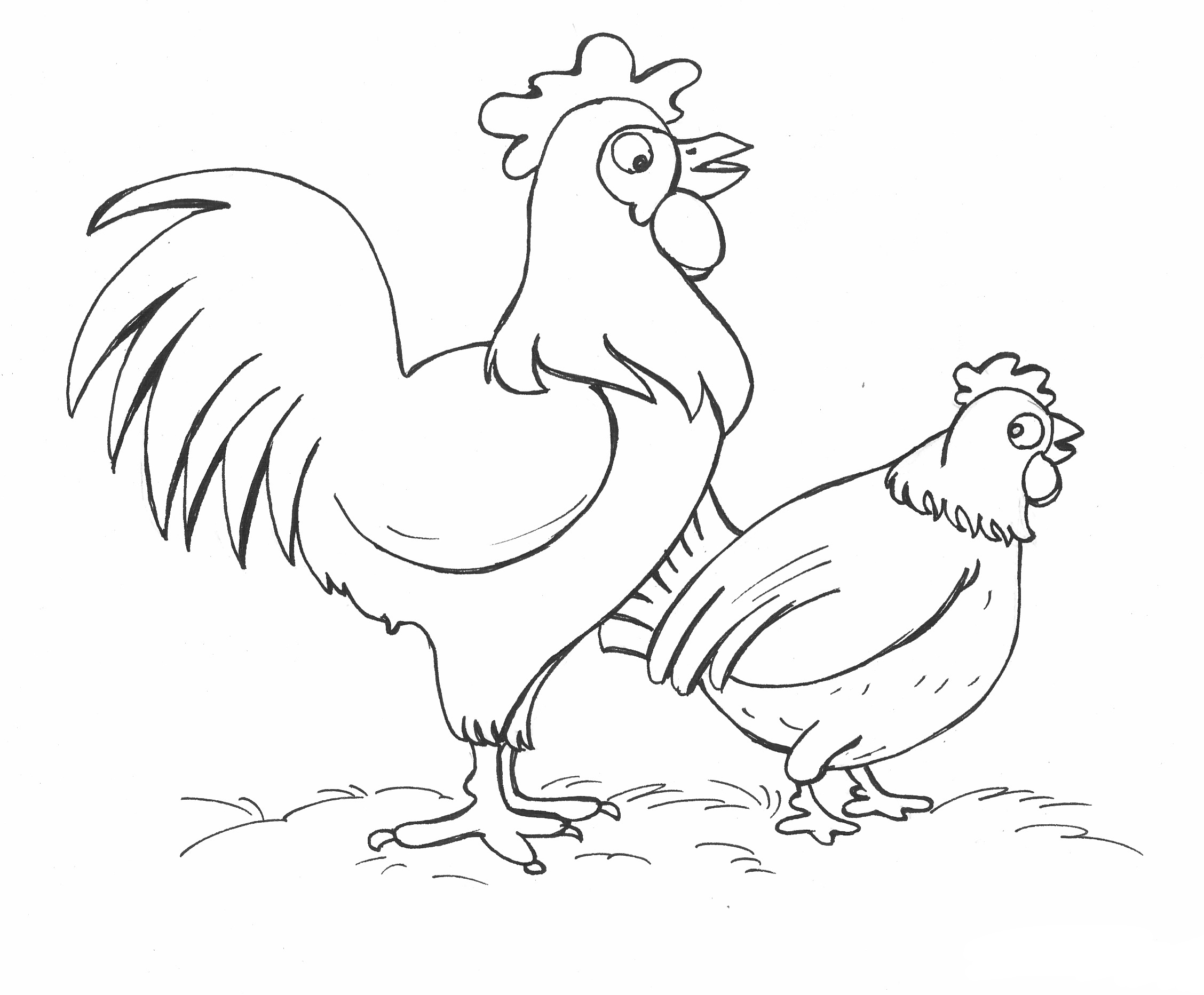 chicken coloring pages for adults