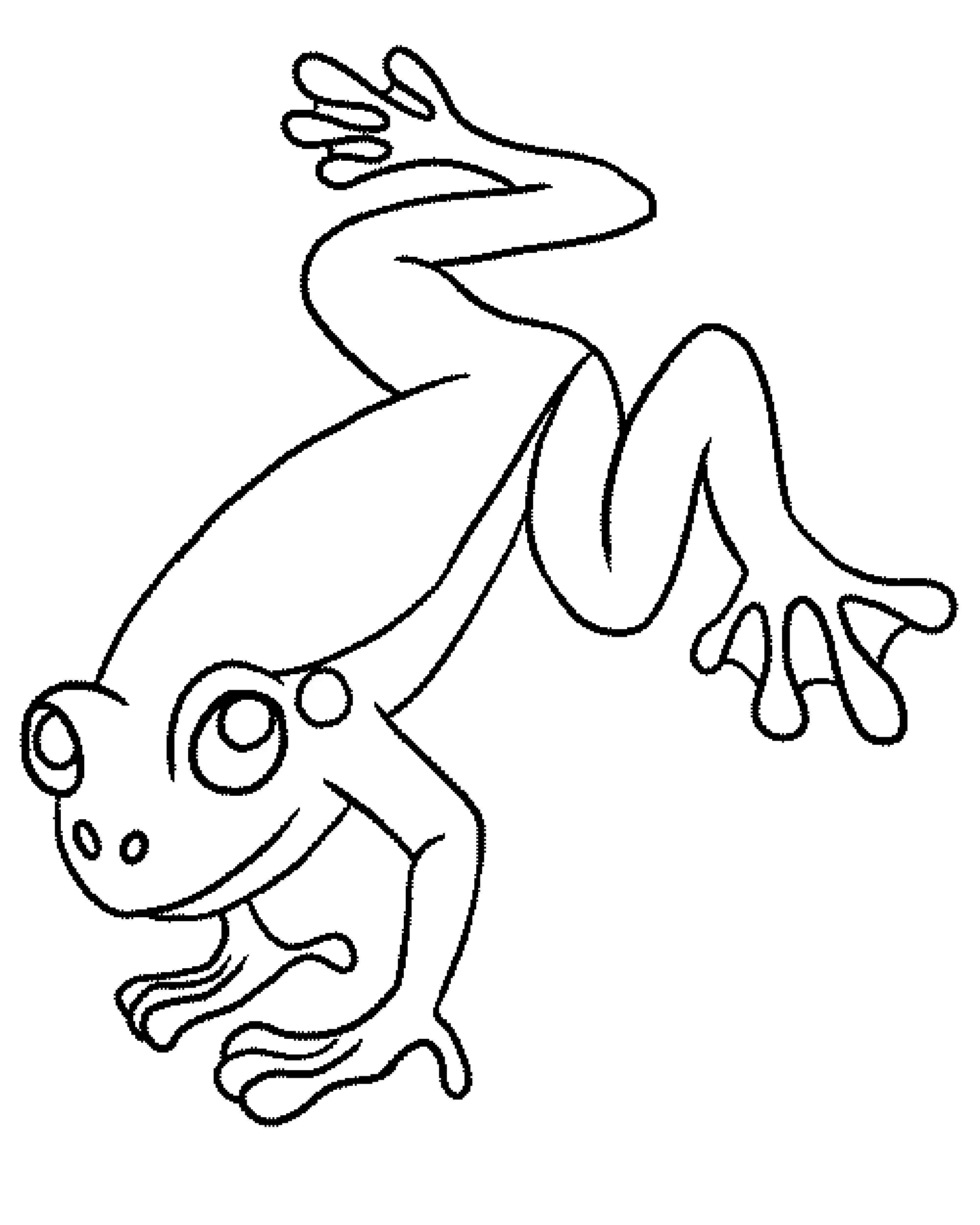 Amphibian-Coloring-Pages-To-Print