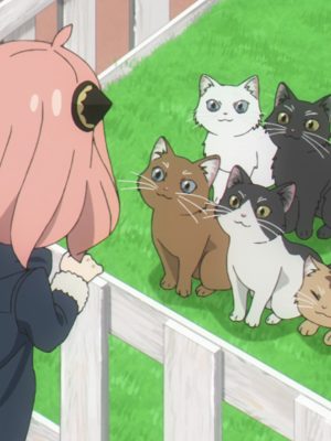 Anime cats