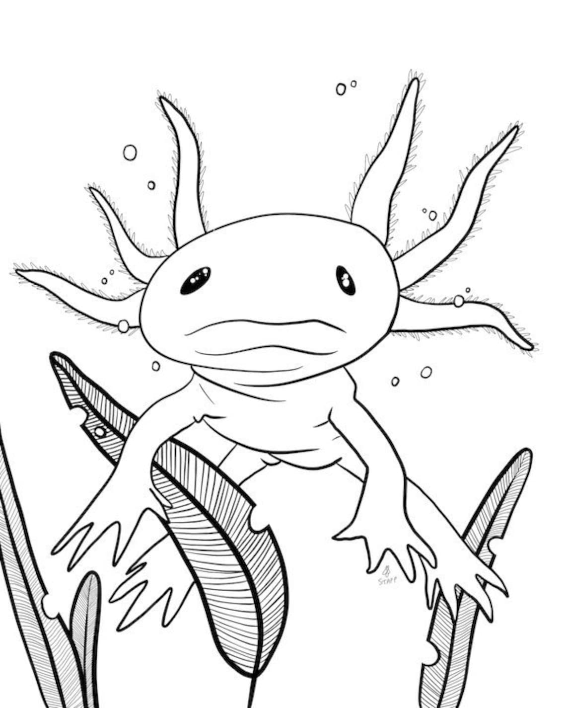 Axolotl-Coloring-Pages-Free