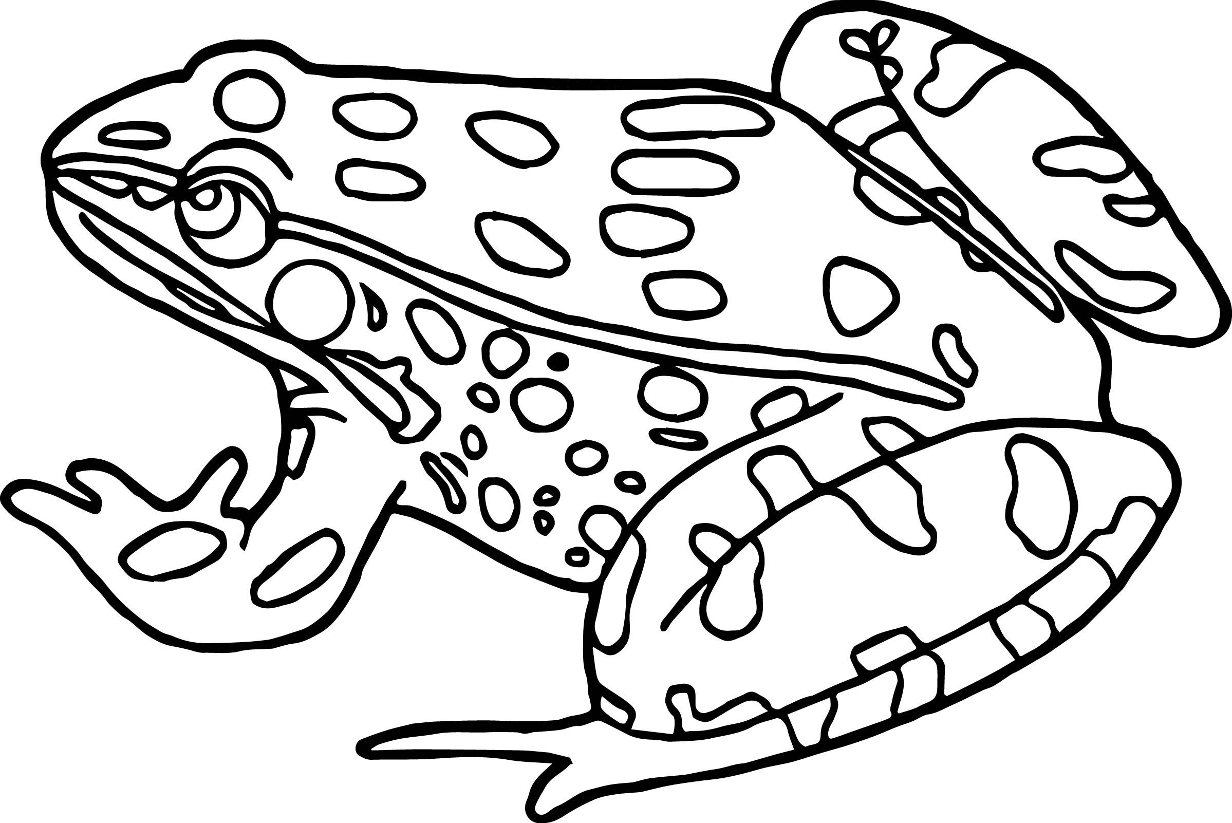 Free-Printable-Amphibian-Coloring-Pages