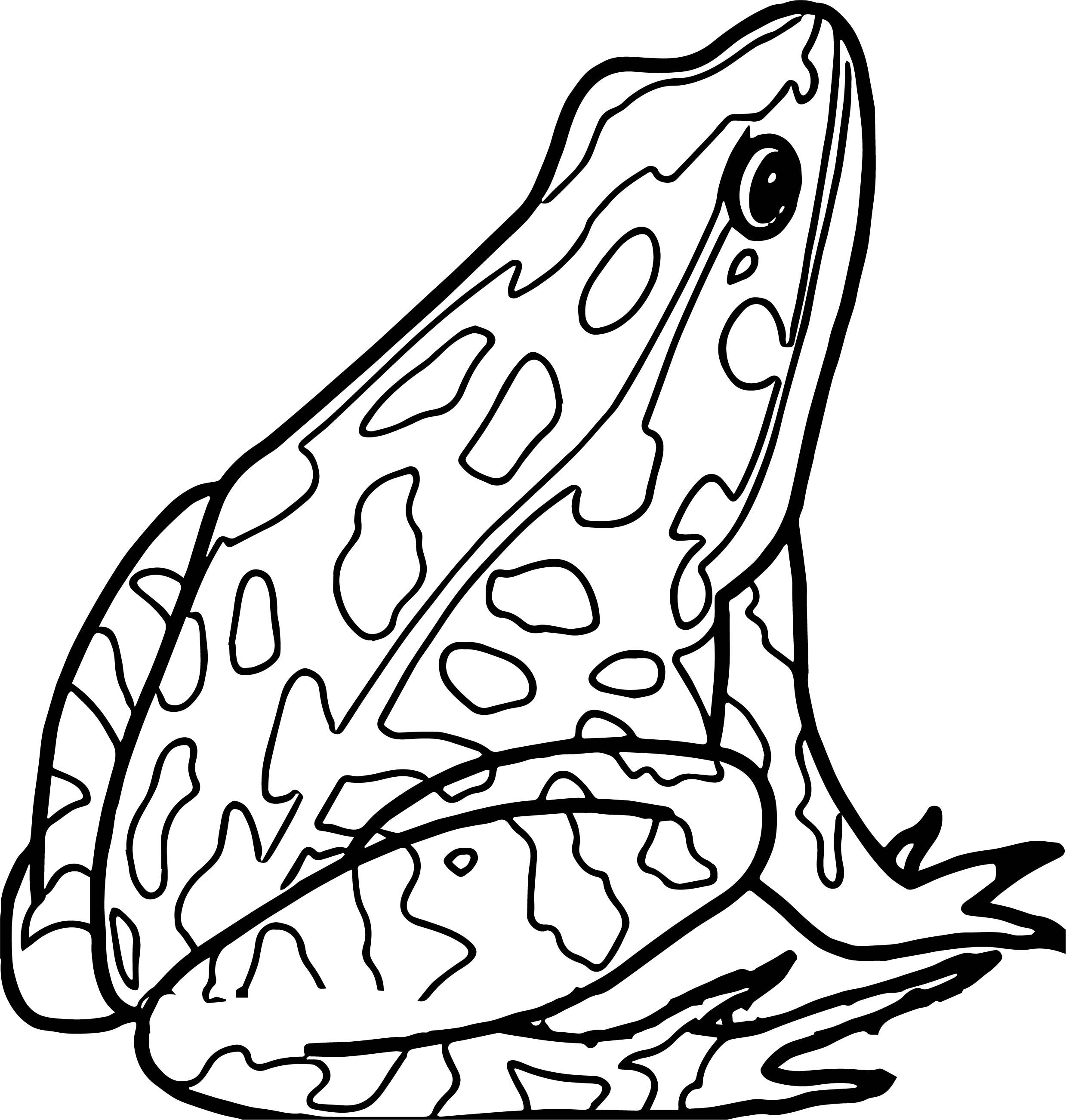 Printable-Amphibian-Coloring-Pages