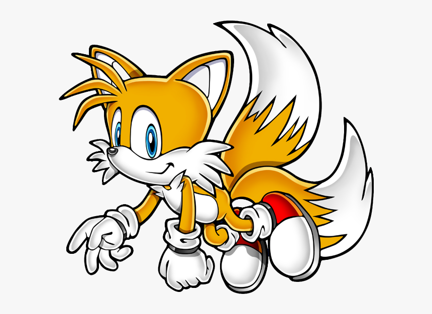 Tails The Fox