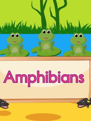 Amphibians