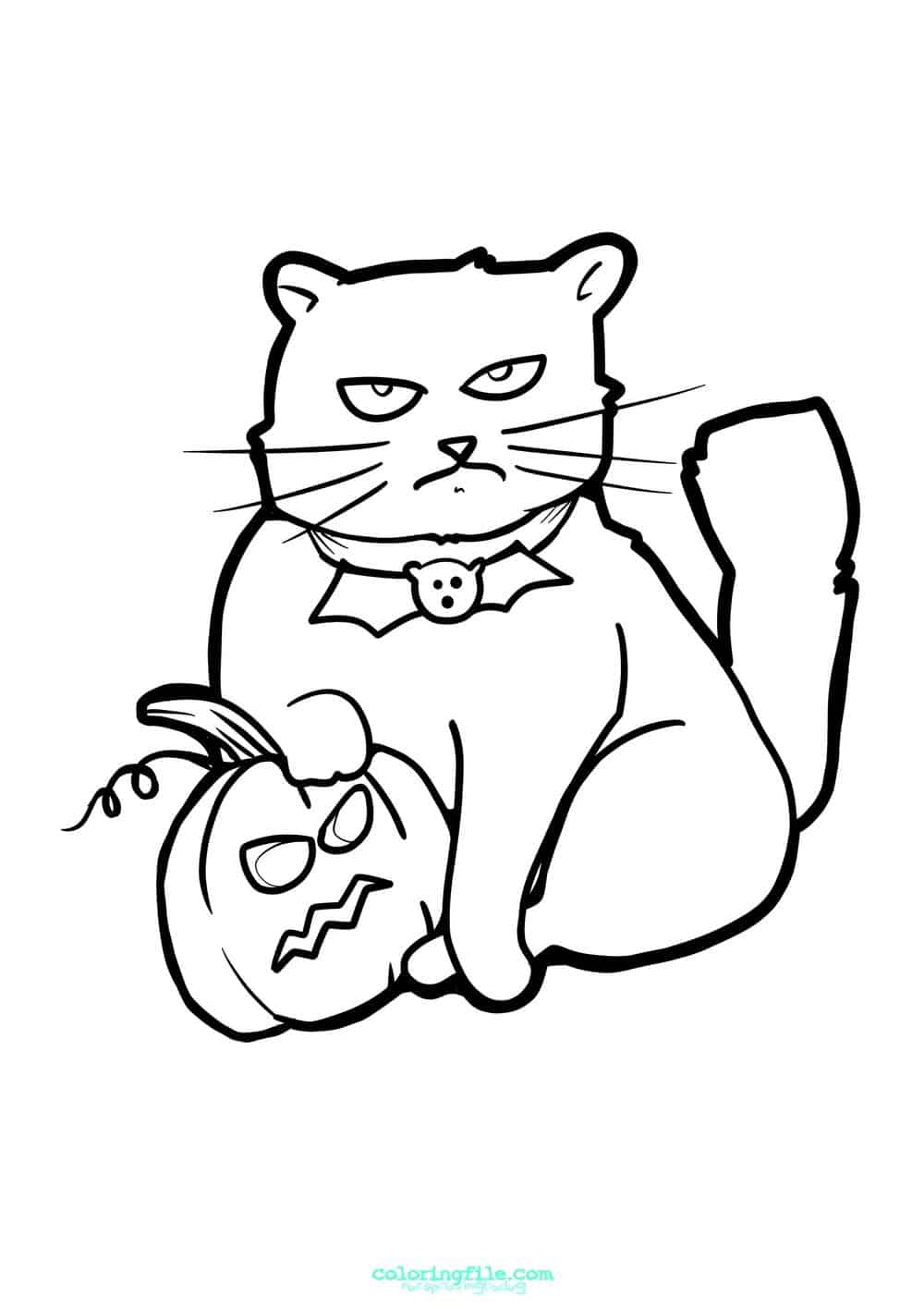 Halloween cat on pumpkin coloring pages