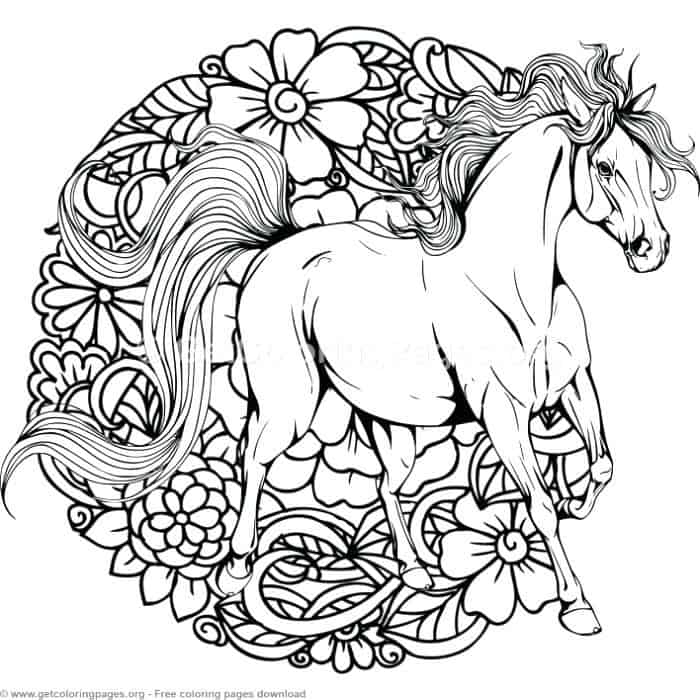 Adult Coloring Pages Horse
