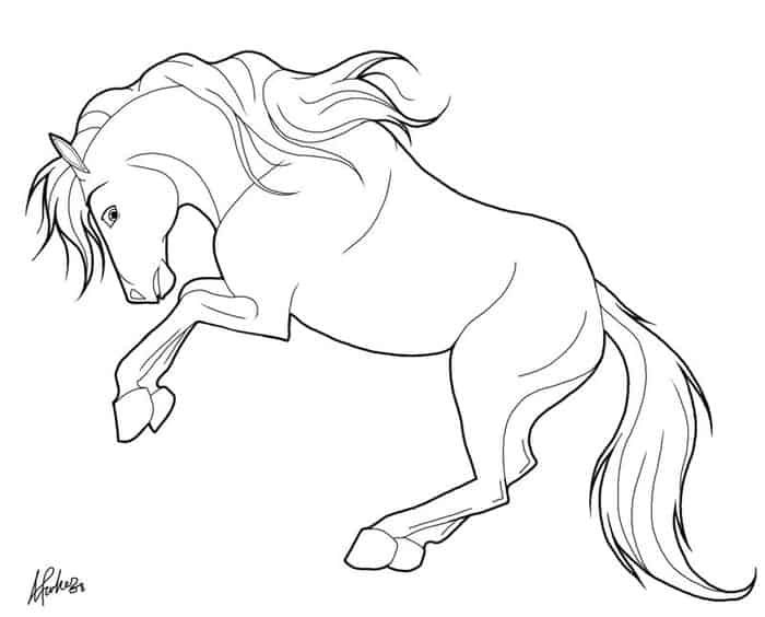 Arabian Horse Coloring Pages