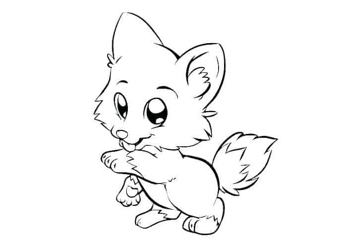 Baby Wolf Coloring Pages