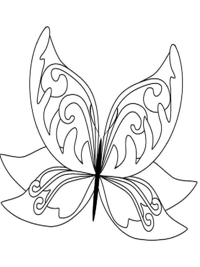 Beautiful Butterfly Coloring Pages