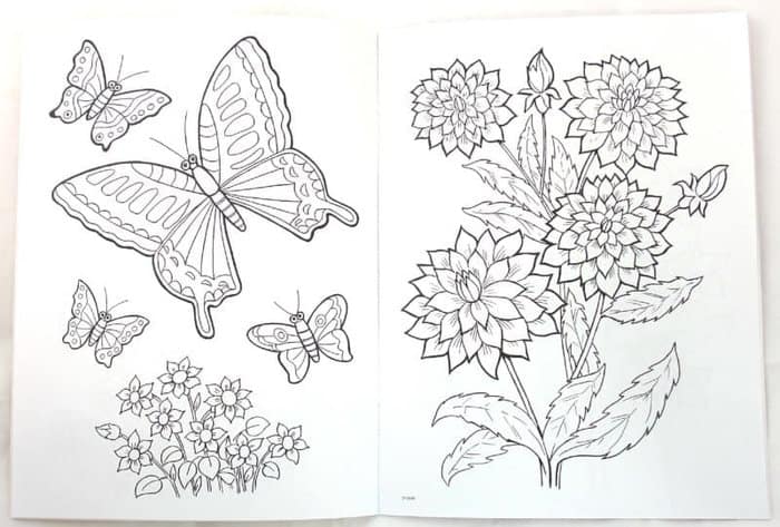 Butterfly And Flower Coloring Pages For Adults