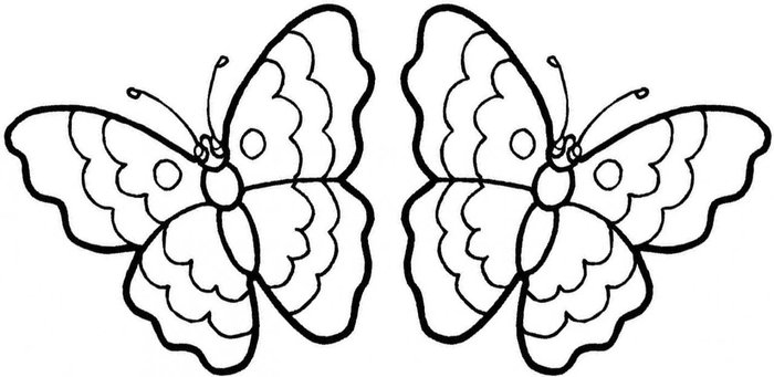 Butterfly Coloring Pages For Boys