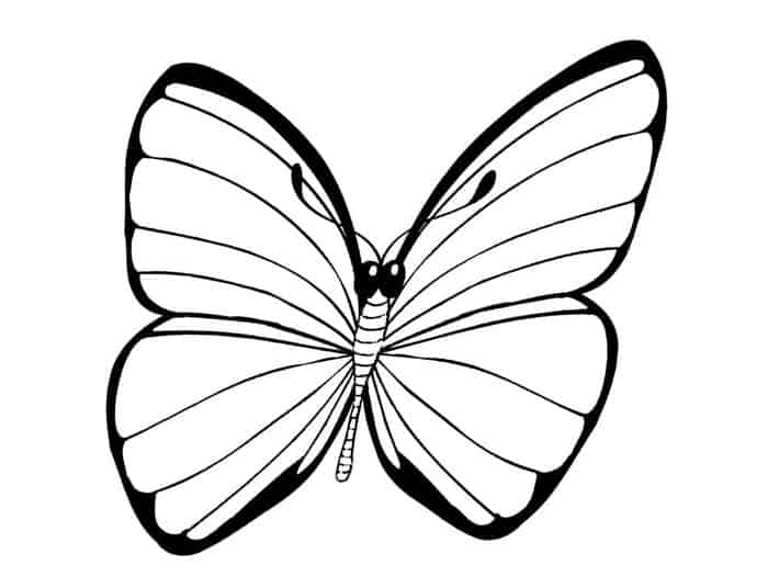 Cartoon Butterfly Coloring Pages
