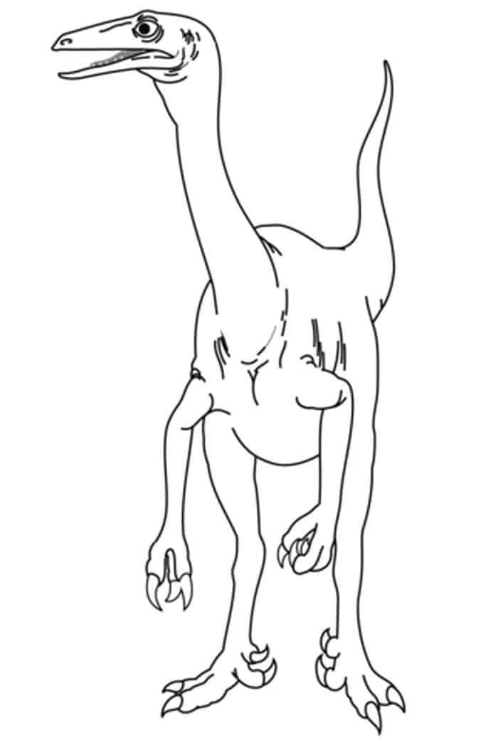 Coelurus Dinosaur Free Coloring Pages