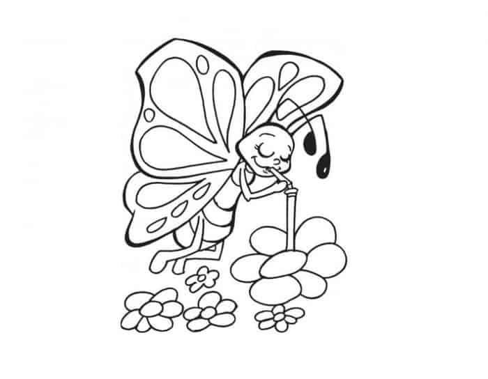 Coloring Pages Butterfly