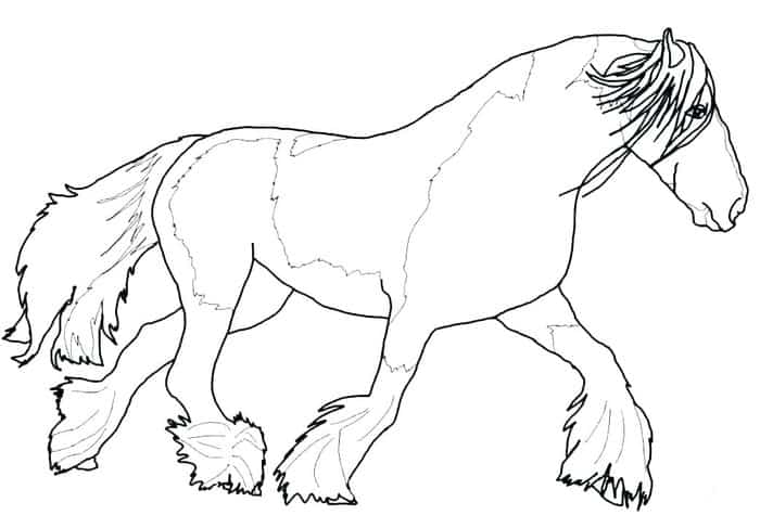 Coloring Pages For Kids Horse