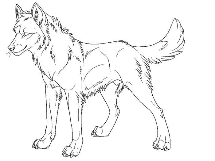 Coloring Pages Of Wolf