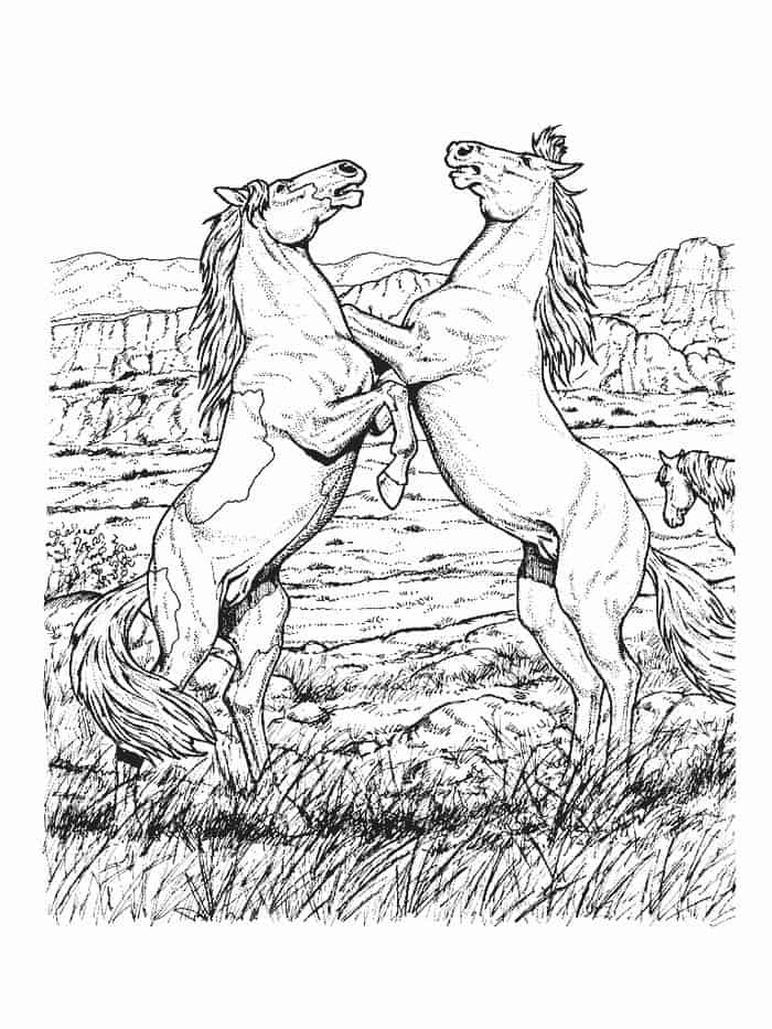 Coloring Pages Horse