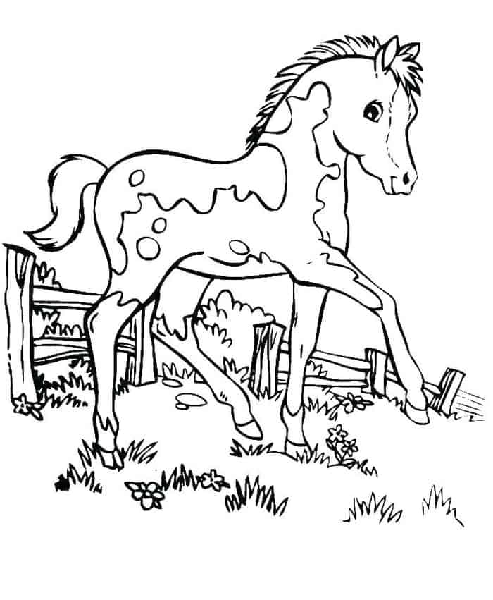Cool Horse Coloring Pages