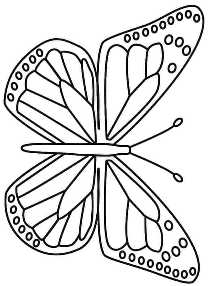 Detailed Butterfly Coloring Pages