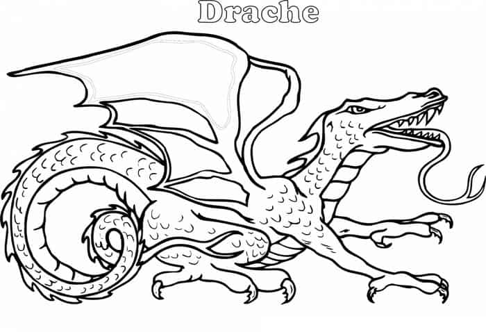 Drache Coloring Pages