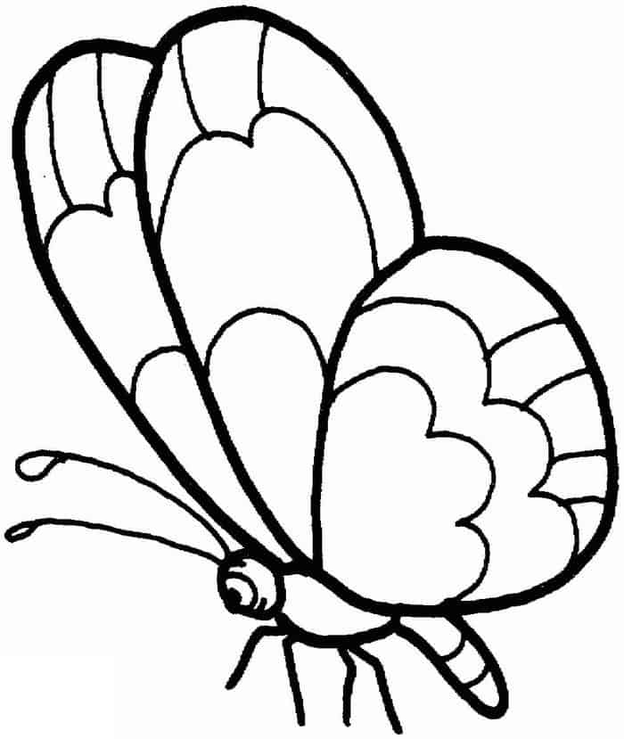 Easy Butterfly Coloring Pages
