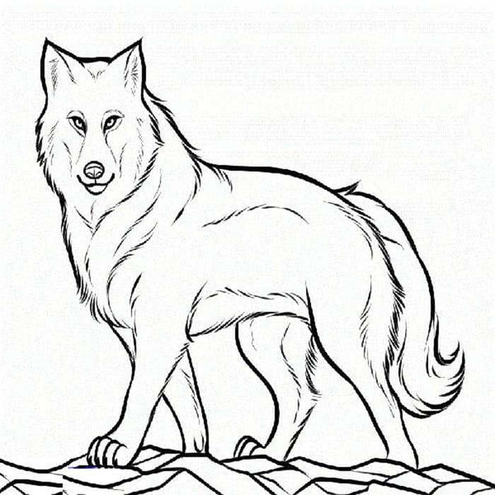 Easy Coloring Wolf Pages