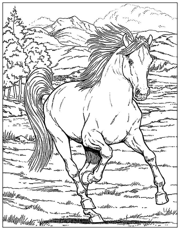 Farm Animal Horse Coloring Pages
