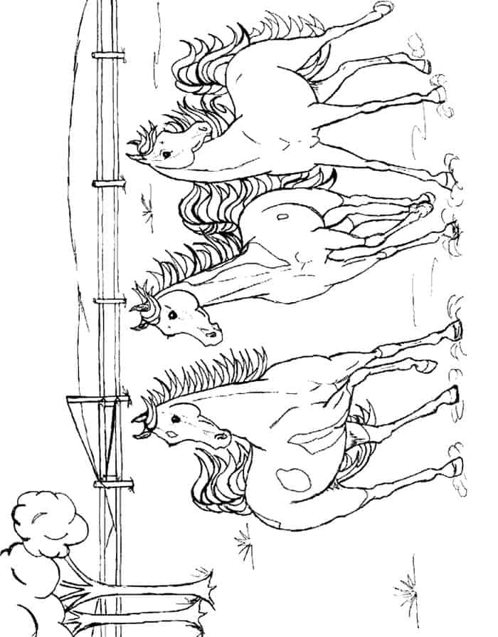 Free Coloring Pages Horse