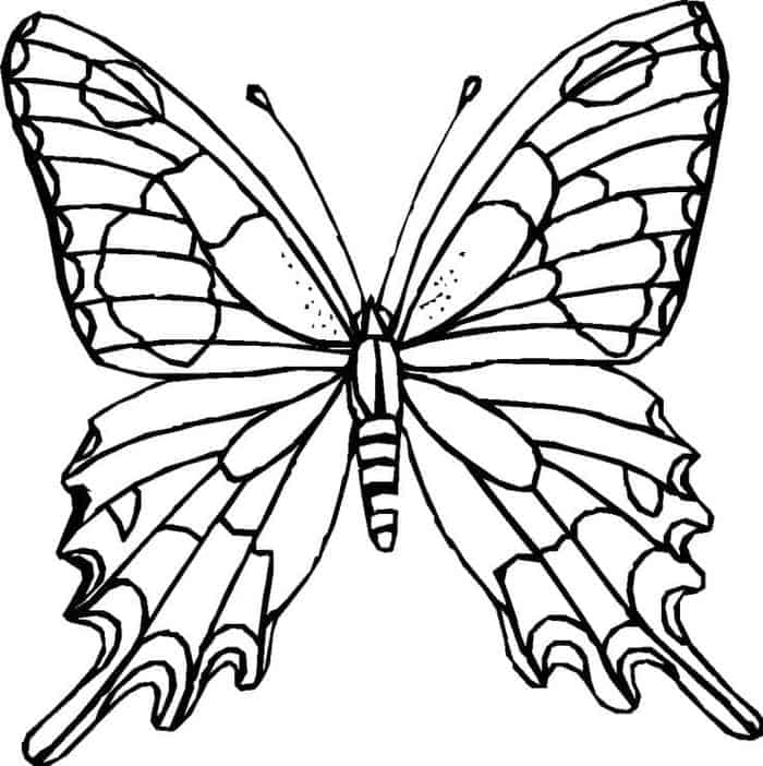 Free Printable Butterfly Coloring Pages For Adults