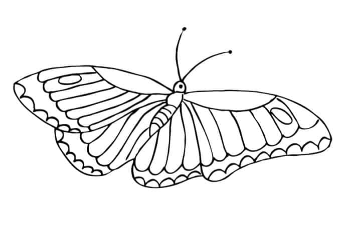 Free Printable Butterfly Coloring Pages For Kids