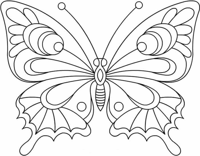 Free Printable Coloring Pages Butterfly