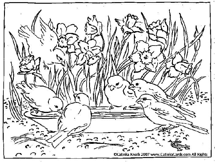 Free Printable Spring Coloring Pages