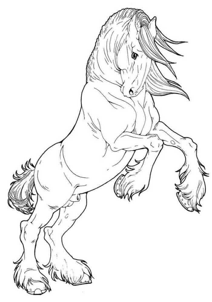 Gypsy Horse Coloring Pages