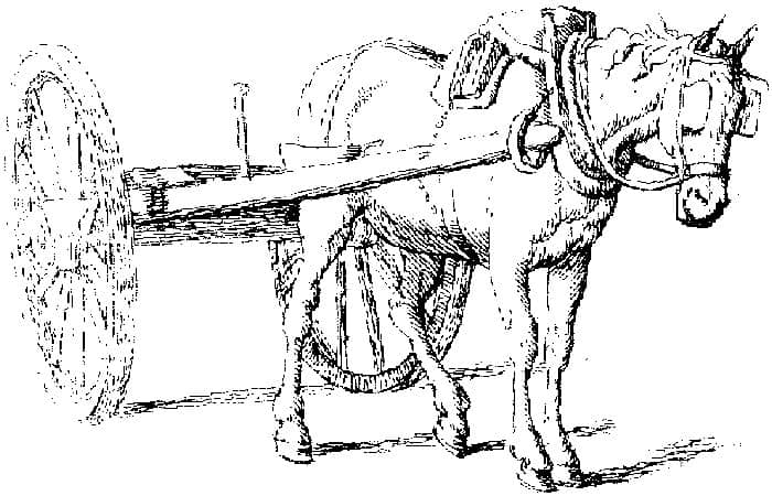 Horse And Carriage Coloring Pages