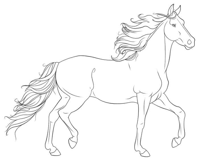 Horse Breeds Coloring Pages