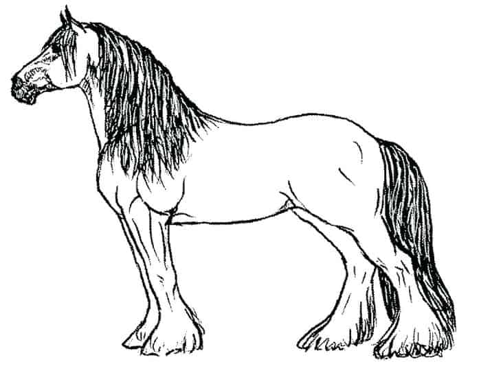 Horse Coloring Pages Color Online