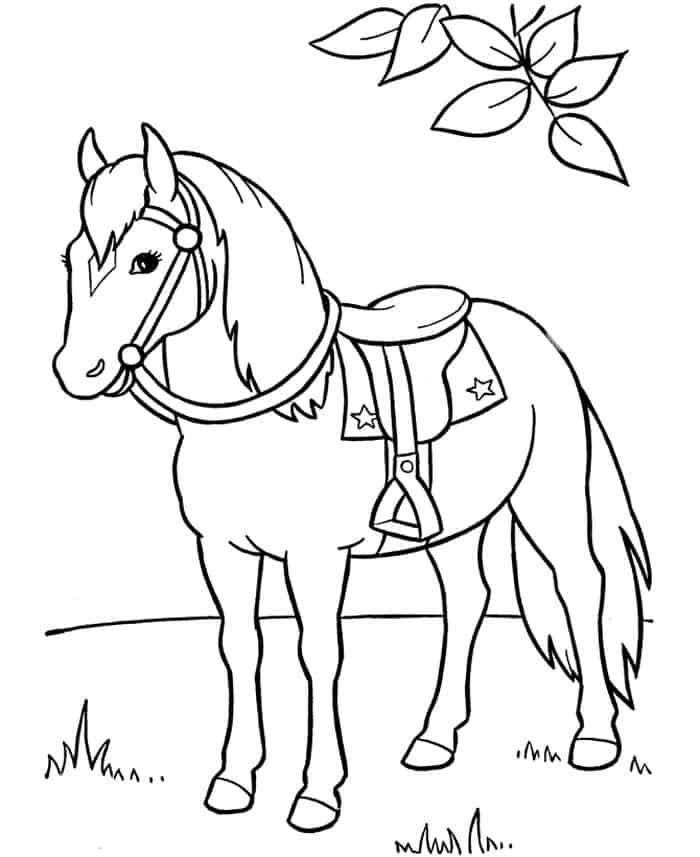Horse Coloring Pages For Girls