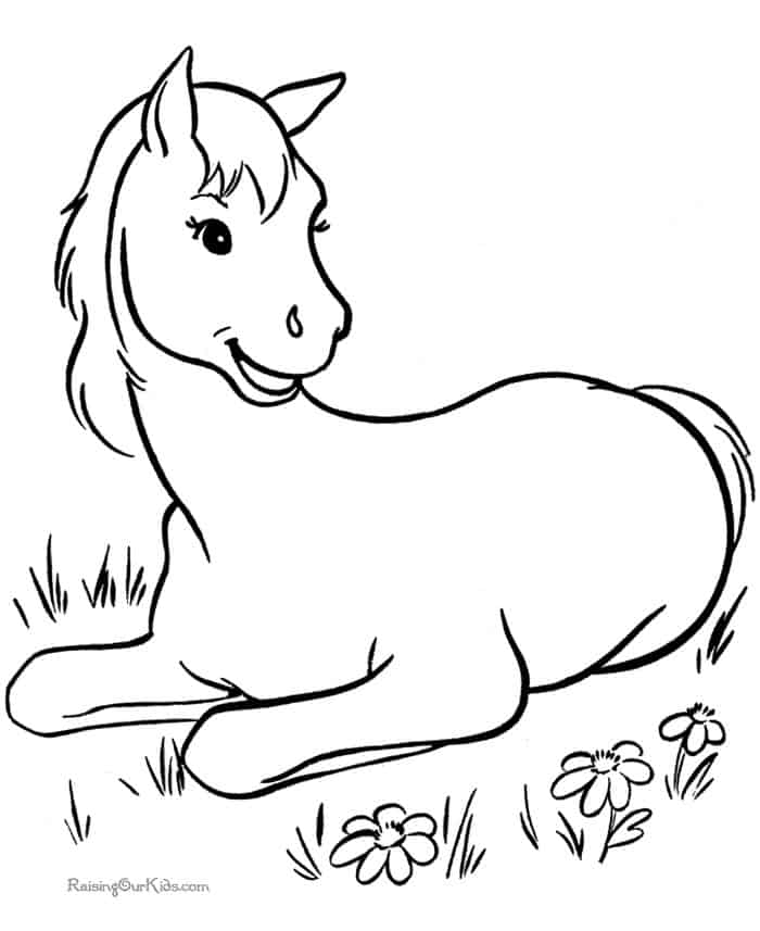 Horse Coloring Pages For Kids