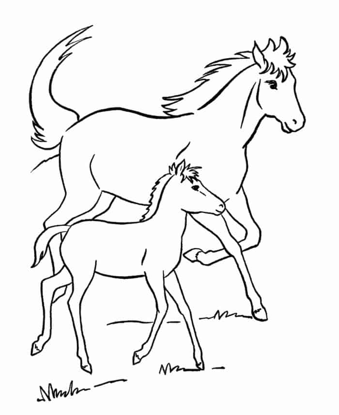 Horse With Baby Coloring Pages