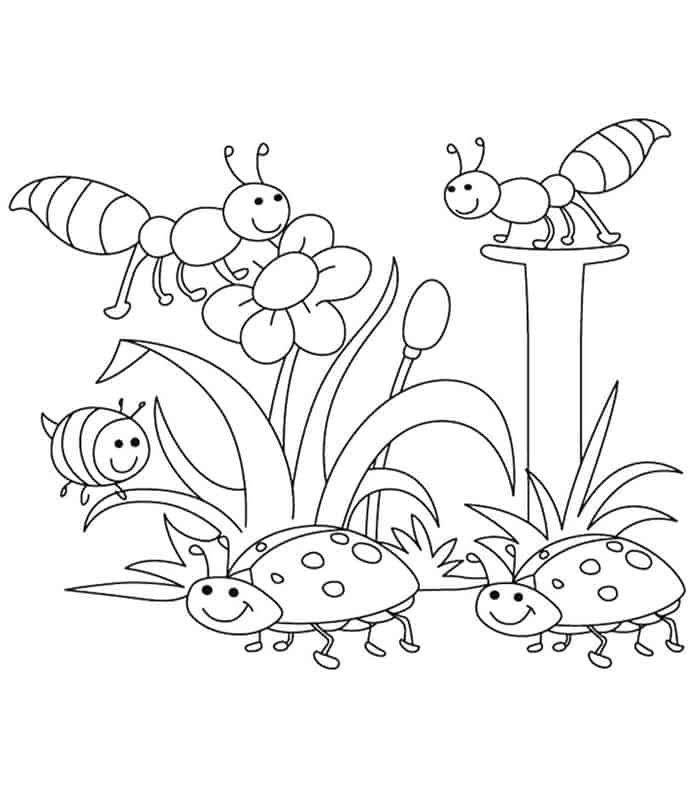 Kindergarten Spring Coloring Pages