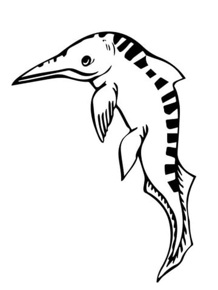 Mixosaurus Ichthyosaur Coloring Page1