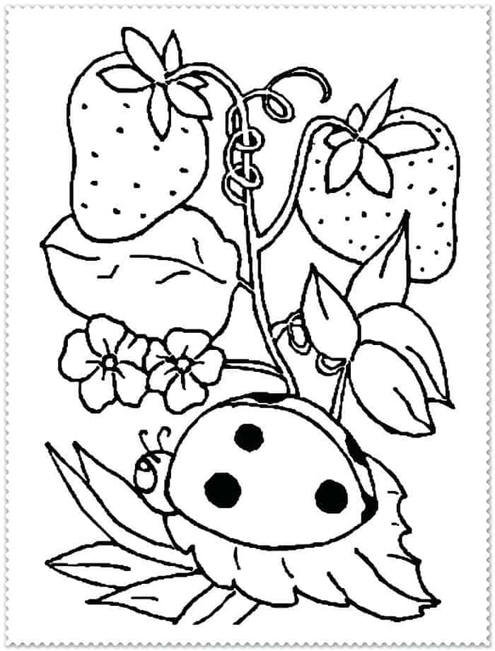 Printable Coloring Pages For Spring