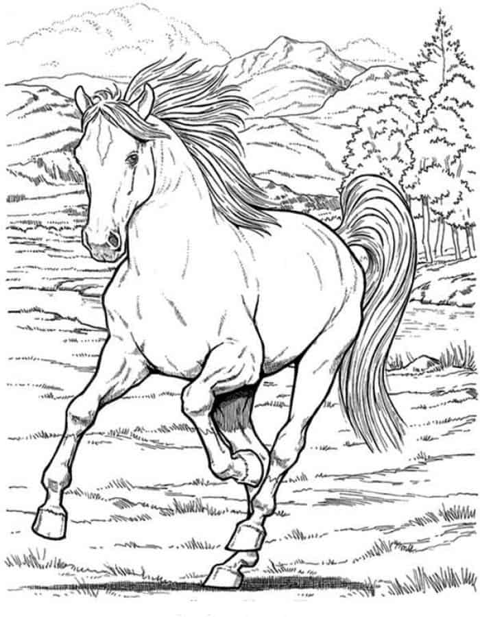 Printable Horse Coloring Pages For Adults