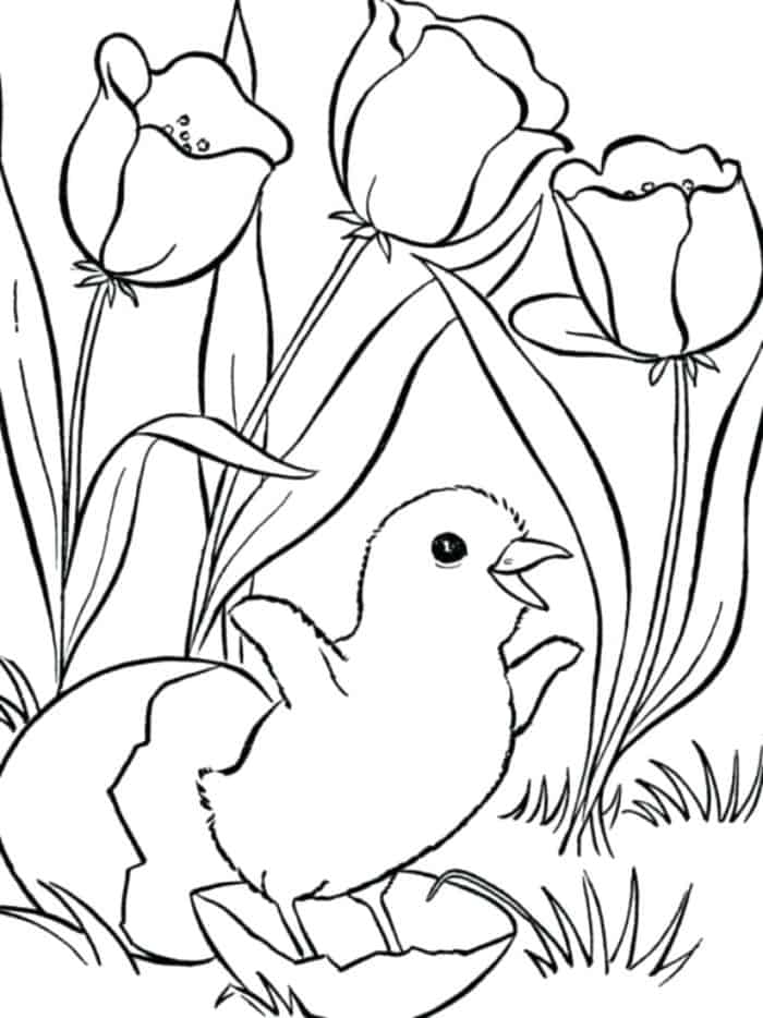 Spring Animals Coloring Pages