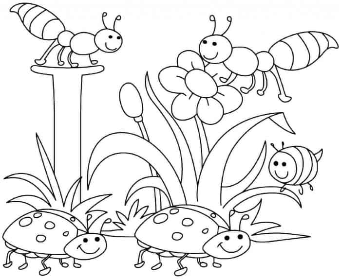 Spring Flowers Coloring Pages