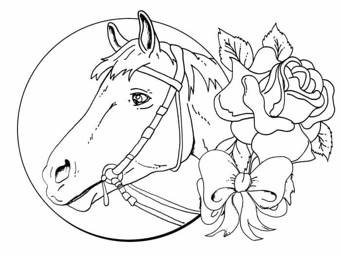 Valentine Horse Coloring Pages