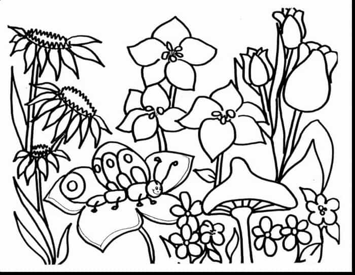 Welcome Spring Coloring Pages