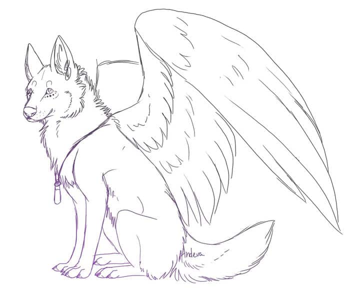 Winged Wolf Coloring Pages