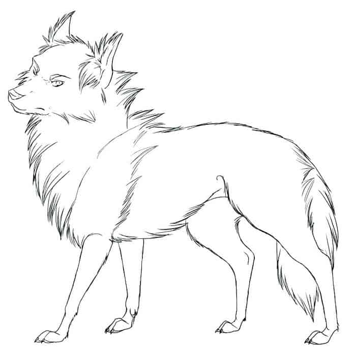 Wolf Coloring Pages Anime