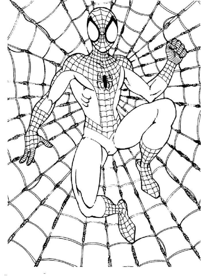 spiderman web coloring pages